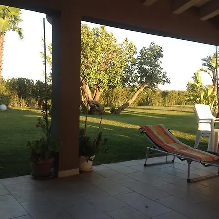 Sciauru